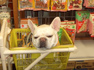ricky_018_2